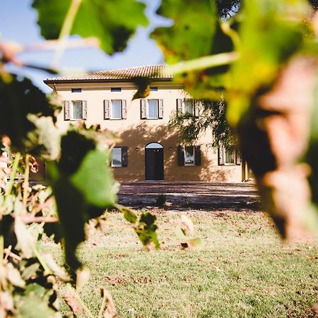 Agriturismo Vitae Fabbrico Ngoại thất bức ảnh