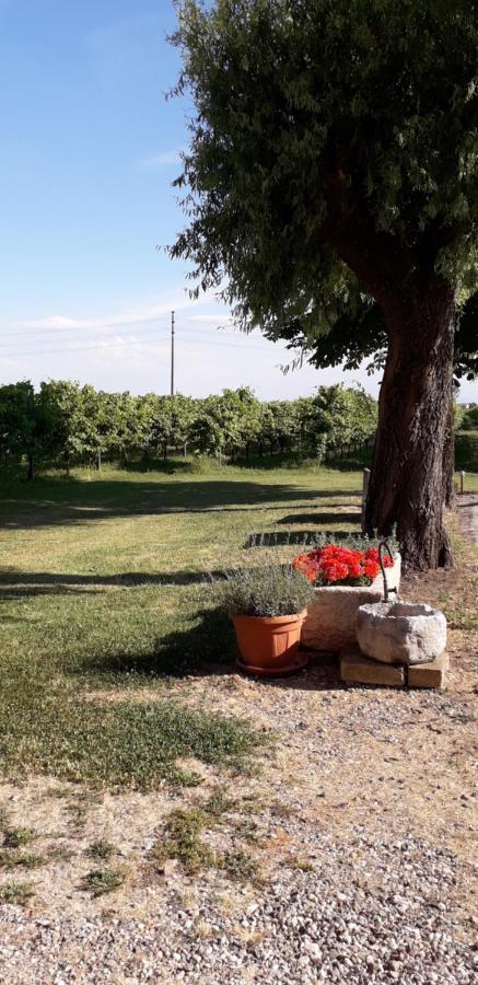 Agriturismo Vitae Fabbrico Ngoại thất bức ảnh