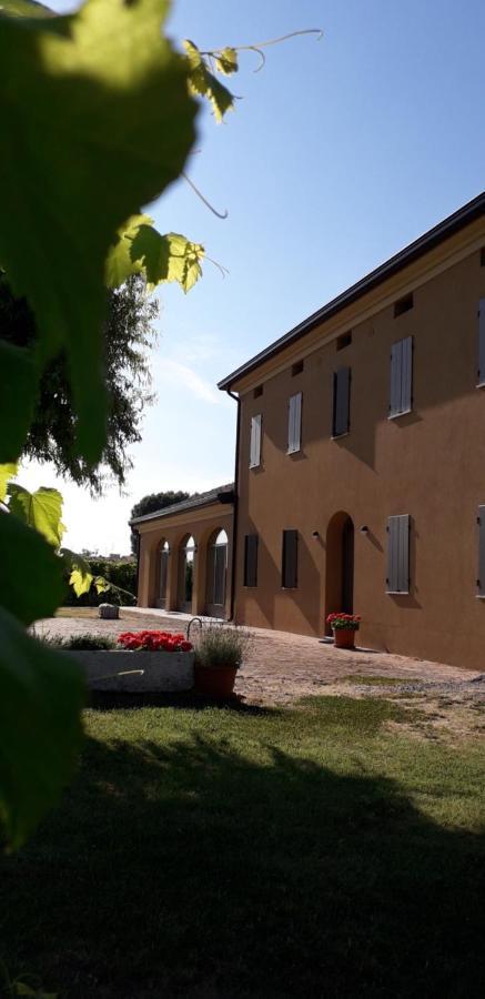 Agriturismo Vitae Fabbrico Ngoại thất bức ảnh