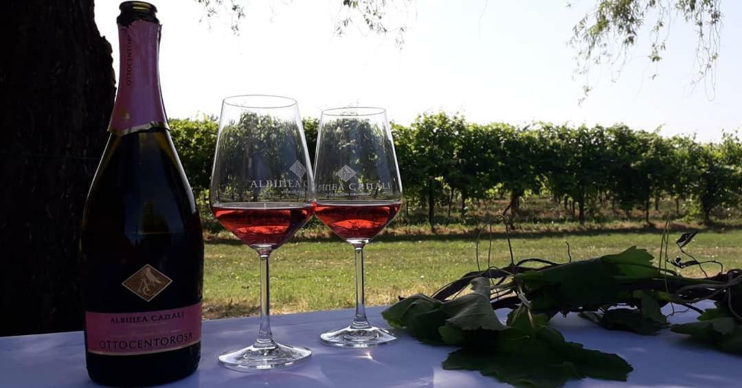 Agriturismo Vitae Fabbrico Ngoại thất bức ảnh