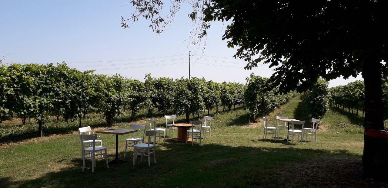 Agriturismo Vitae Fabbrico Ngoại thất bức ảnh