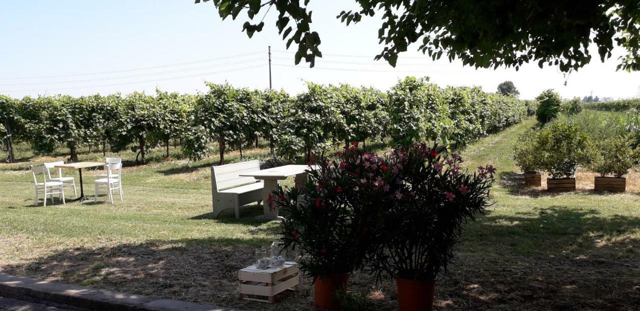 Agriturismo Vitae Fabbrico Ngoại thất bức ảnh