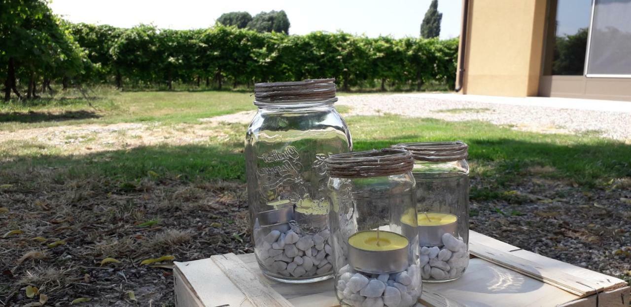 Agriturismo Vitae Fabbrico Ngoại thất bức ảnh