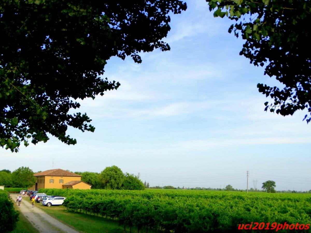 Agriturismo Vitae Fabbrico Ngoại thất bức ảnh